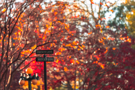 2023 Fall Finals week campus scenes. Photo by Srijita Chattopadhyay&amp;amp;amp;amp;amp;#x2F; Ole Miss Digital Imaging Services