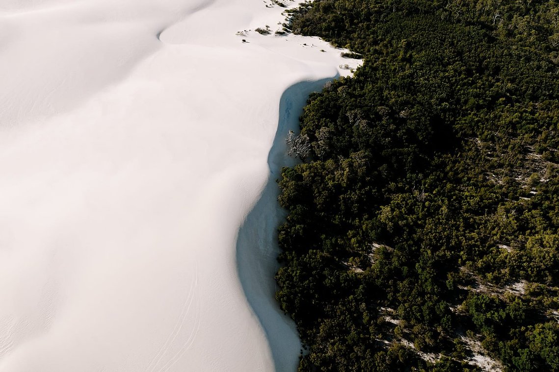 Where the largest inland sand dune meets the forrest