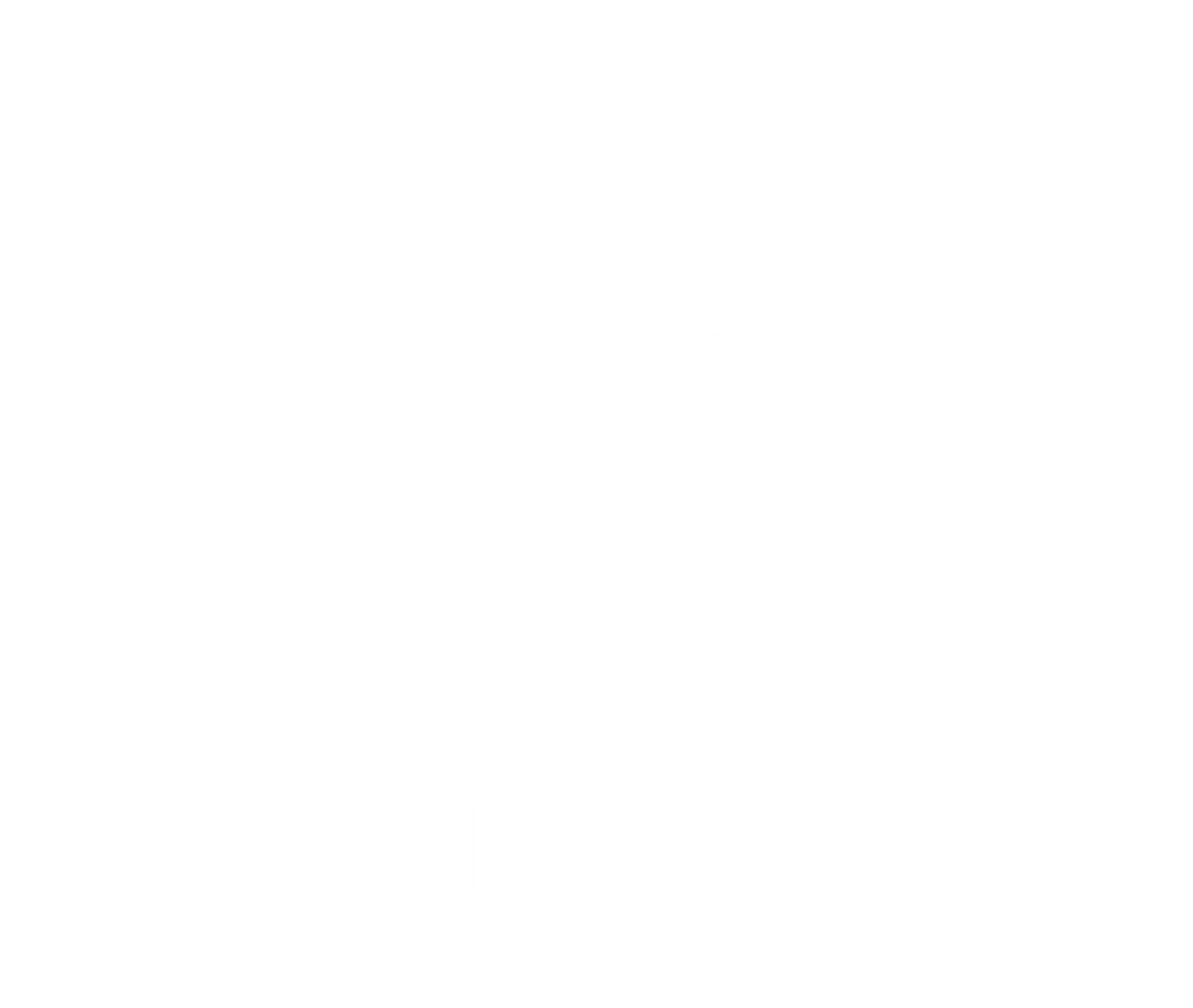 Katie Bosco's Portfolio