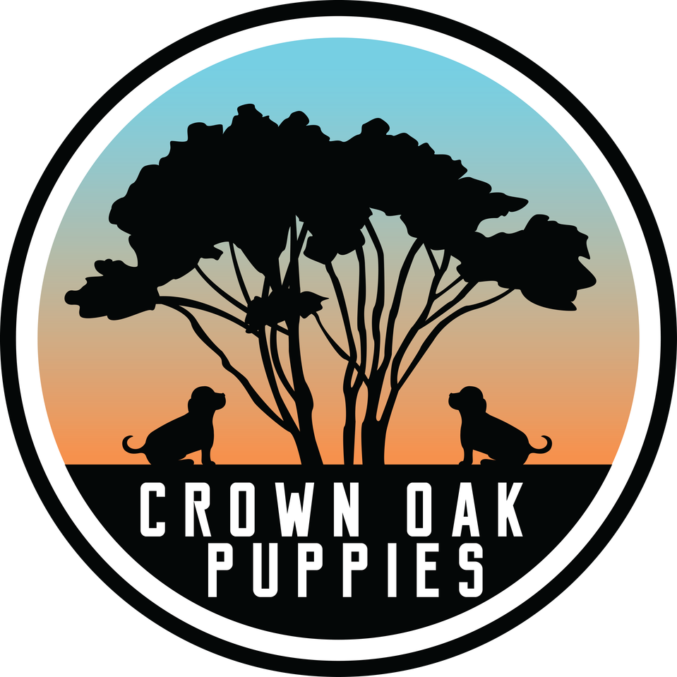 Crown Oak Puppies