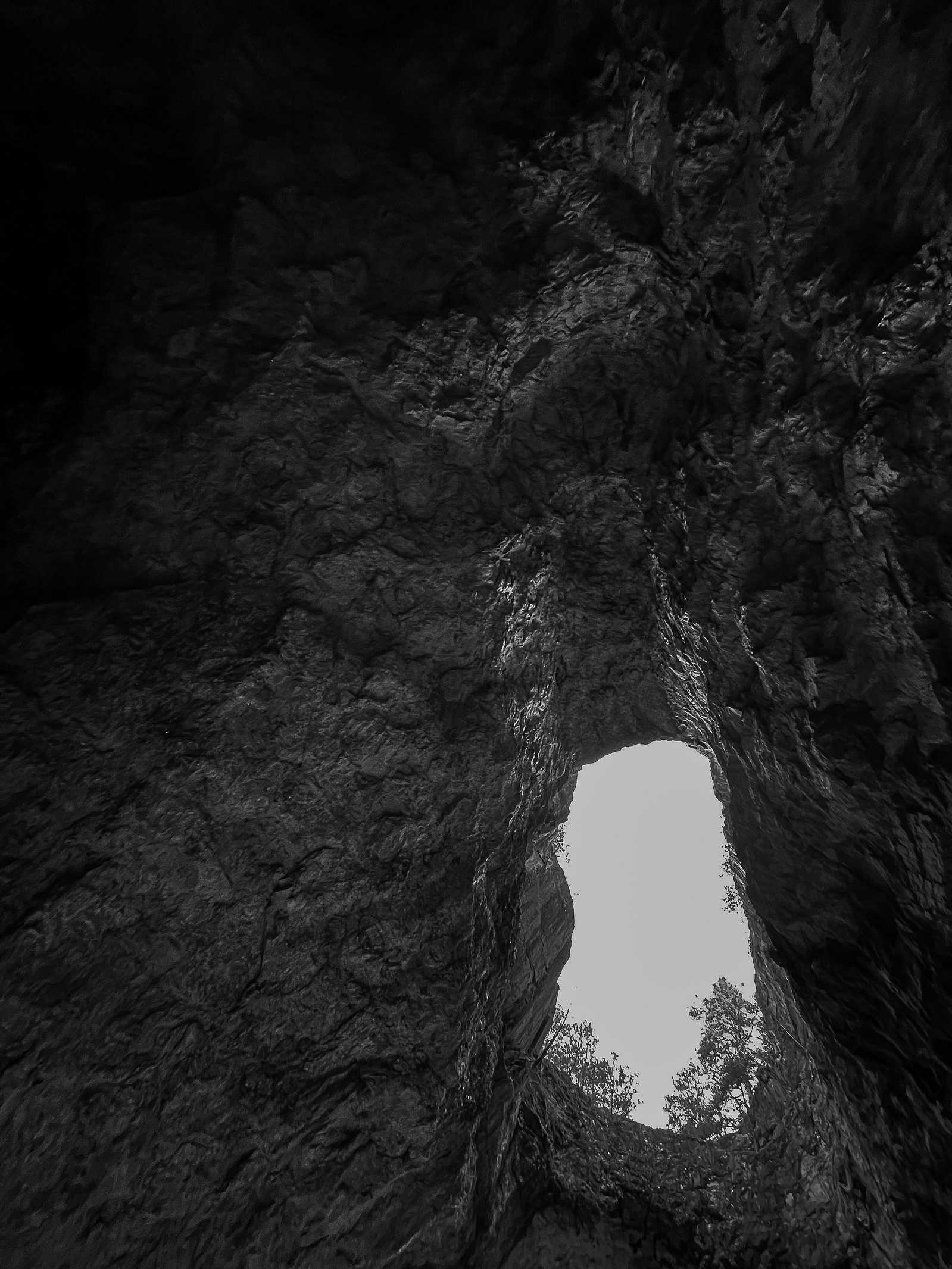 View from downunder. Photo: Ulrik.