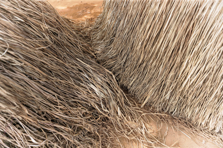 Zangbeto in Ouidah, Benin - 2019 January