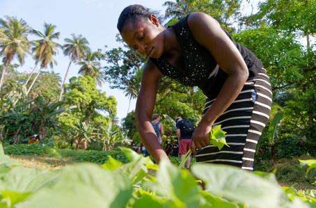 Idris and Sabrina Elba visit Maboikandoh, Sierra Leone. On an IFAD programme working to reduce rural poverty and food insecurity on a sustainable basis through agriculture.