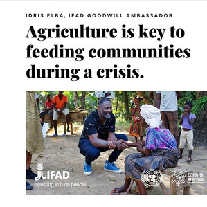 UN Goodwill Ambassadors for IFAD - ​Idris Elba in, Maboikandoh, rural Sierra Leon. IFAD publication
