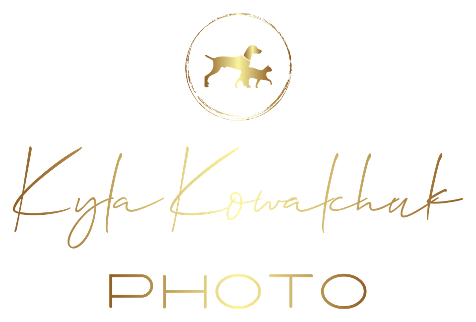 Ky's Portfolio