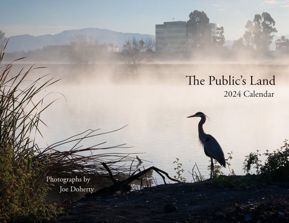 Life Near the Interstate, at the Sepulveda Basin Wildlife Reserve. The cover of The Public's Land 2024 Calendar by Joe Doherty.