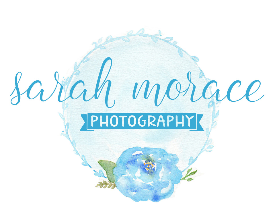 Sarah Morace's Portfolio