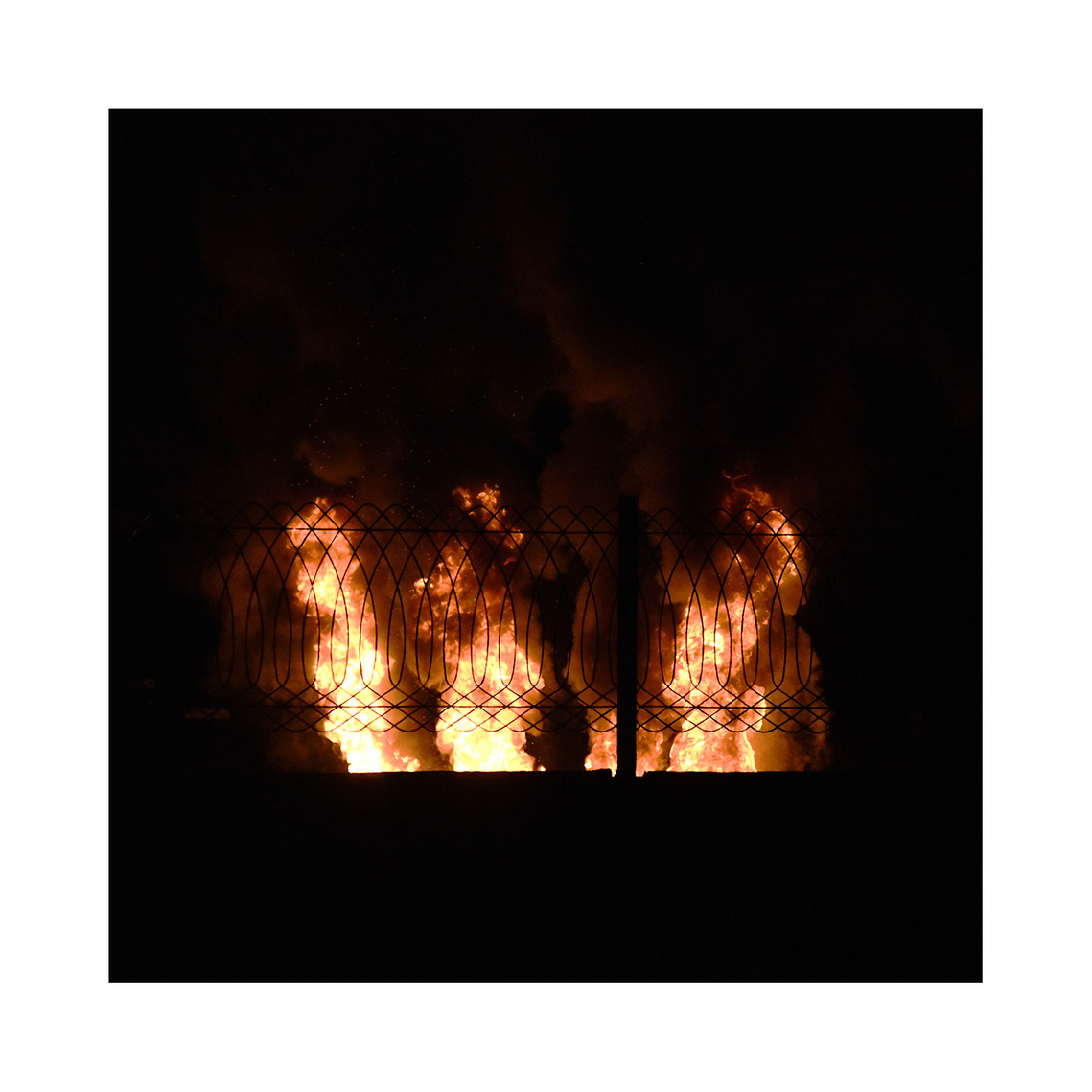 firestorm, 2019
