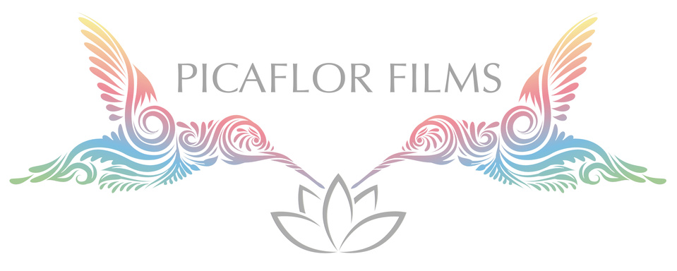 Maui Videographer | Cinematic Filmmaking for your unique story