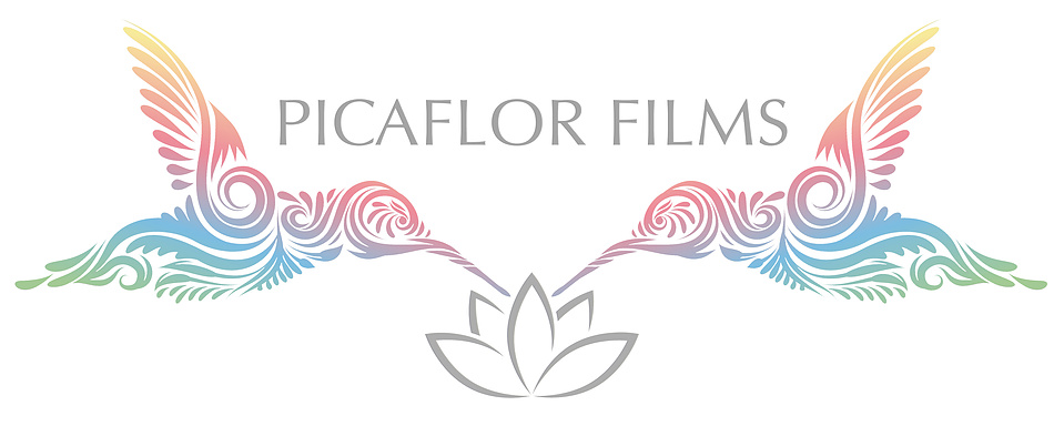 Maui Videographer | Cinematic Filmmaking for your unique story