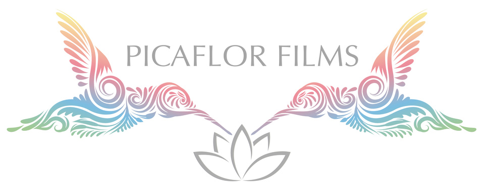 Picaflor Films creates transformational media