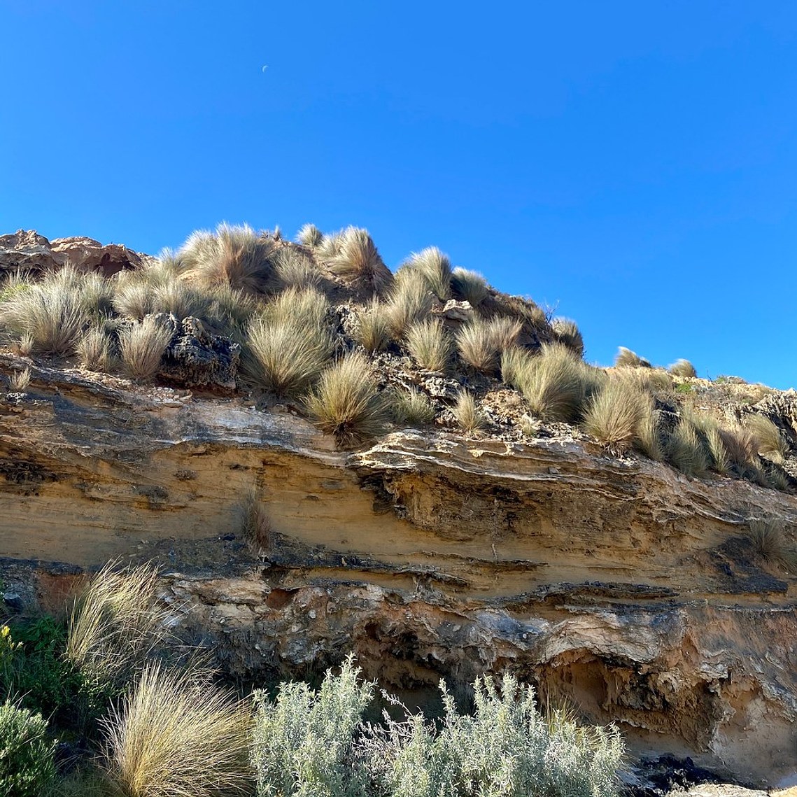 serene blue sky coastal landscape planting inspiration.