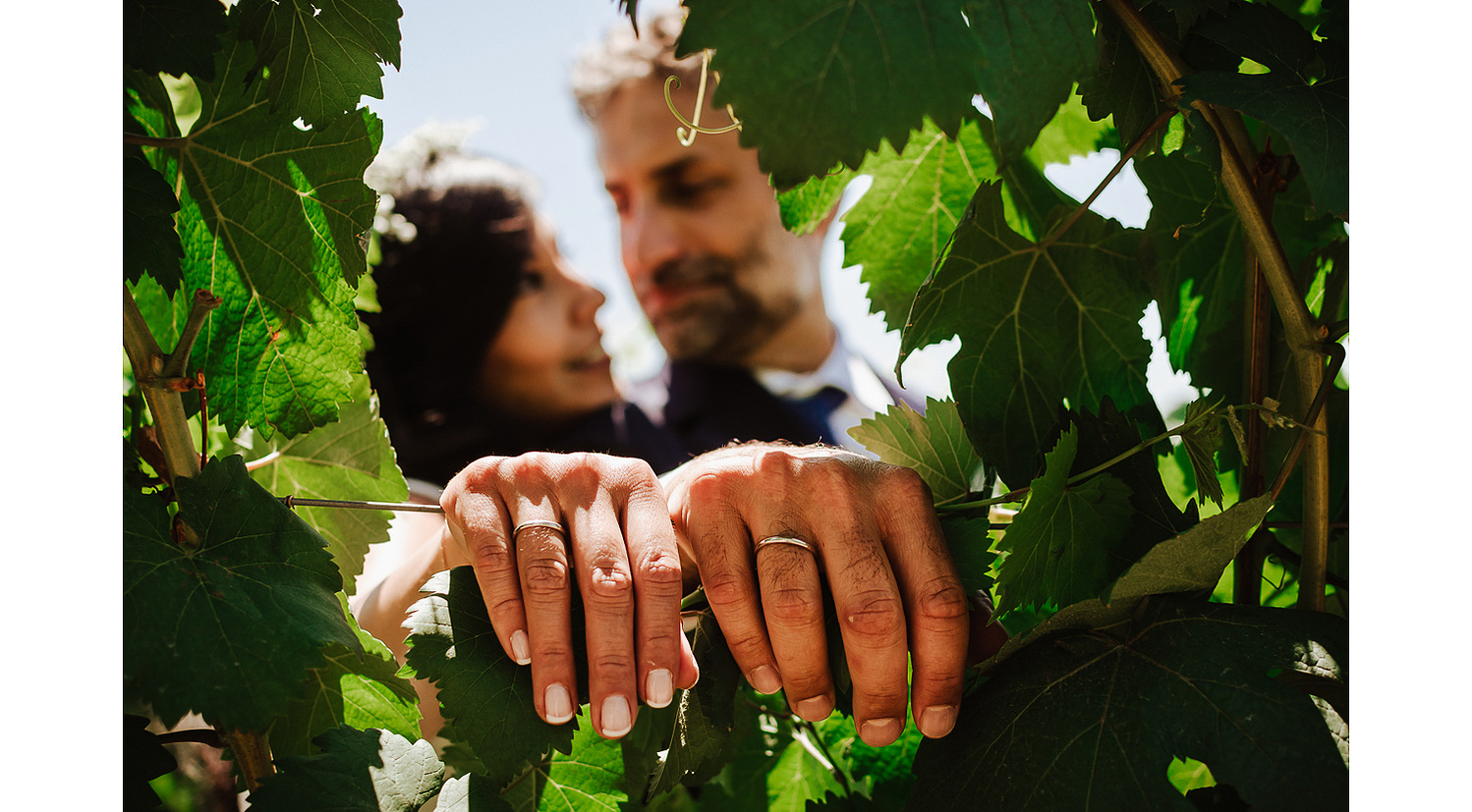 Fotografía de boda en Ourense, reportaje de novios en viñedo de Ribadavia. Alianzas de boda