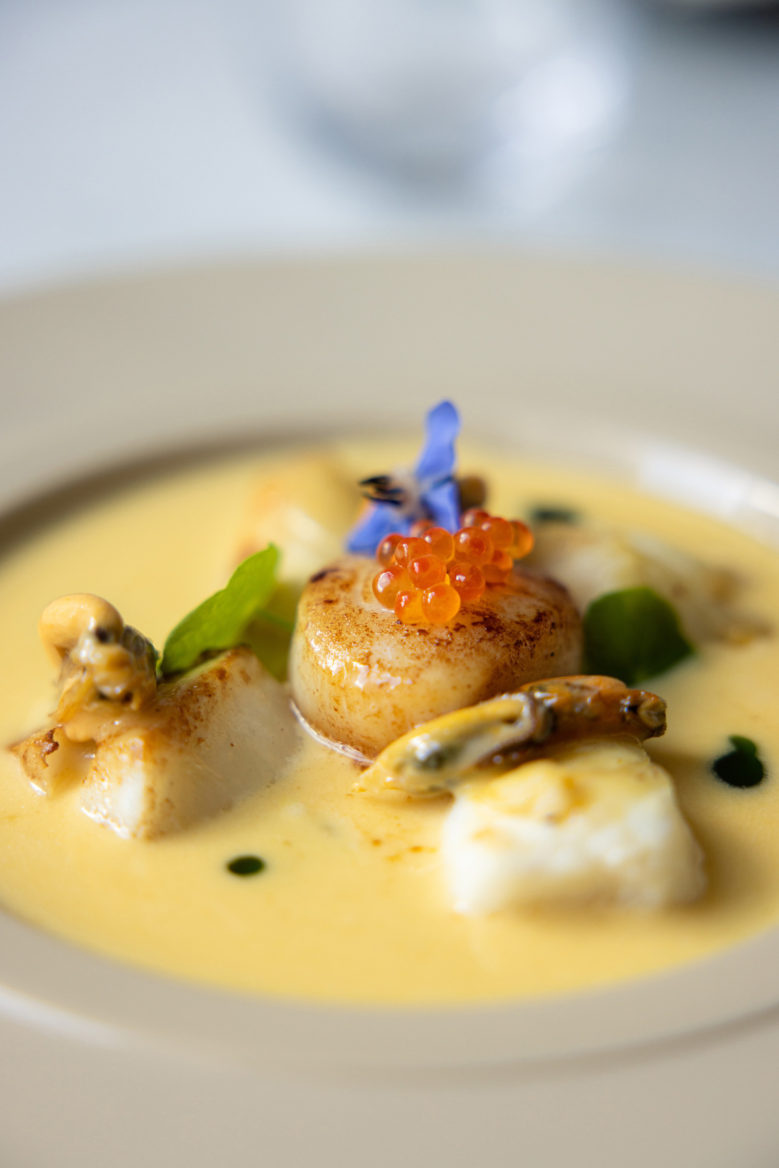 Fine dining food photography | Kirsty Lyons food photography Limerick