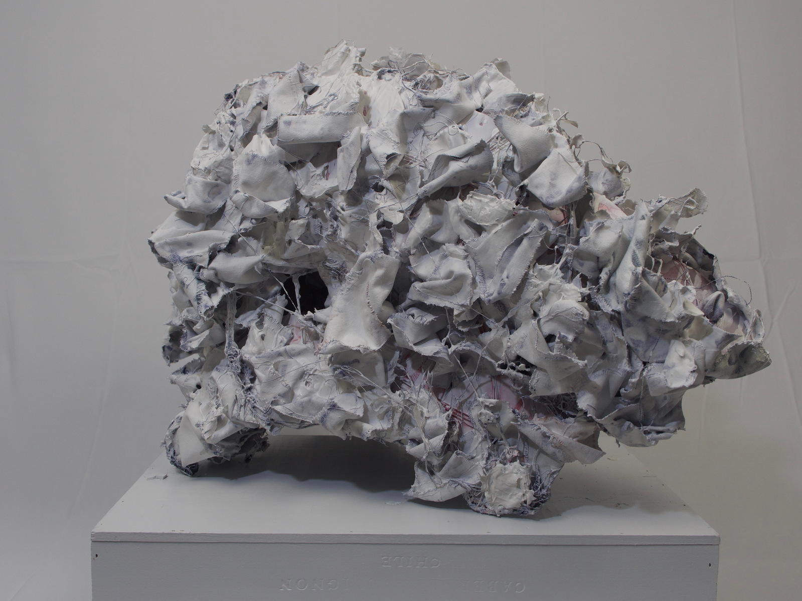 CDs, wire, paint, mod podge, fabric. 25" x 42" x 31"