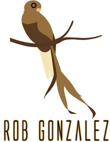 Robert Gonzalez's Portfolio