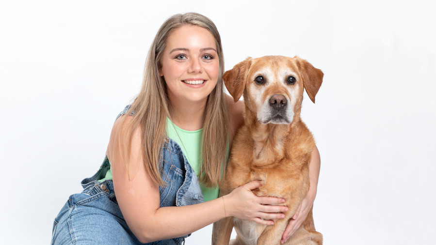 Pet portrait photography studio. Owner and golden labrador dog portrait in a professional family photo studio white background