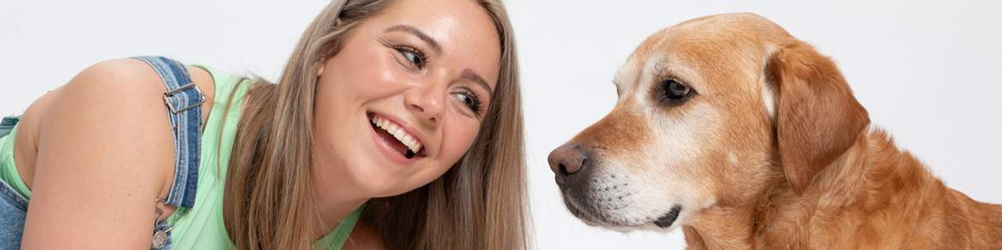 Pet portrait photography studio. Owner and golden labrador dog portrait in a professional family photo studio white background