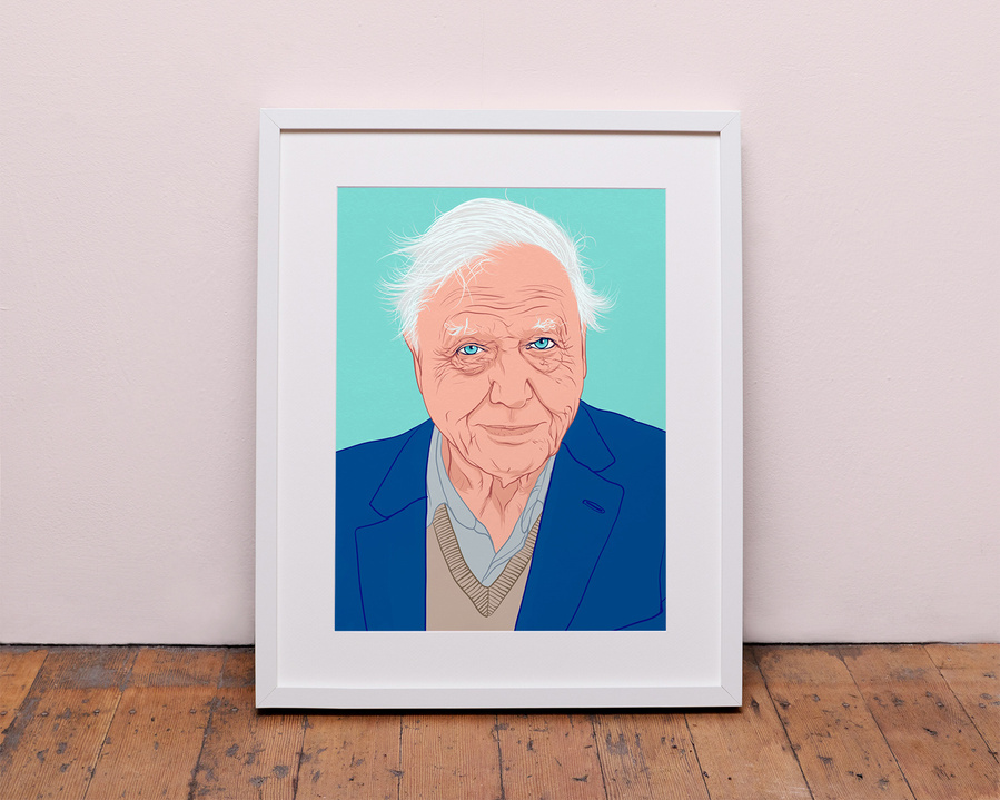 A portrait of national treasure David Attenborough. Naturalist, climate change activist and wildlife documentary maker. Art by Ryan Hodge illustration. The fine art giclée print is available in sizes A4, A3 & A2, framed or print only.