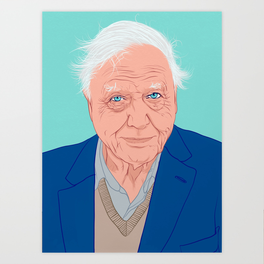 A portrait of national treasure David Attenborough. Naturalist, climate change activist and wildlife documentary maker. Art by Ryan Hodge illustration. The fine art giclée print is available in sizes A4, A3 & A2, framed or print only.