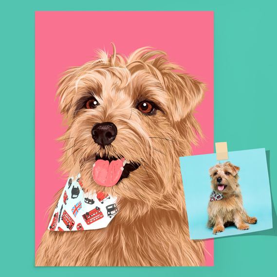 A fine art Giclée print of Nacho the Norfolk Terrier's portrait with a pink background.  It is placed on a teal surface.  On top of the portrait by Ryan Hodge is the original reference photo.  Find out more at Woof Portraits.