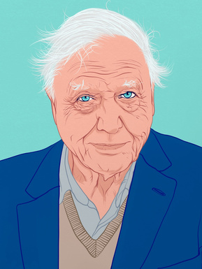 A portrait of national treasure David Attenborough. Naturalist, climate change activist and wildlife documentary maker. Art by Ryan Hodge illustration. The fine art giclée print is available in sizes A4, A3 & A2, framed or print only.