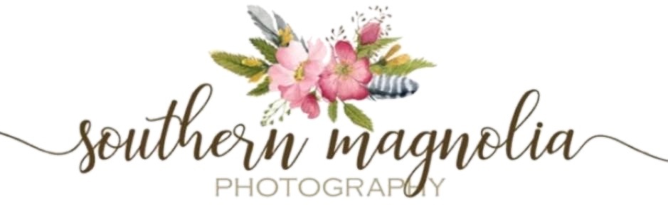 Kelly Anderson's Portfolio