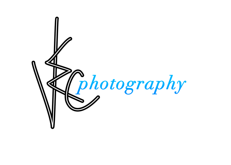 by VEC ®, Multimedia Parent Company