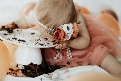 baby girl's 1st birthday Colorado milestone cake smash