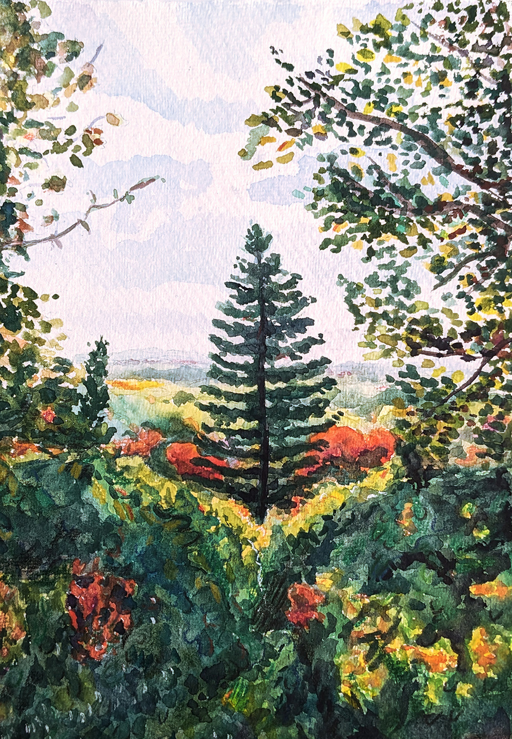 A single tall pine tree stands in the middle of the image on a cloudy day. It is framed by green and gold leaves and trees. At its base there are visible red trees. There is more to the landscape that fades into the horizon.