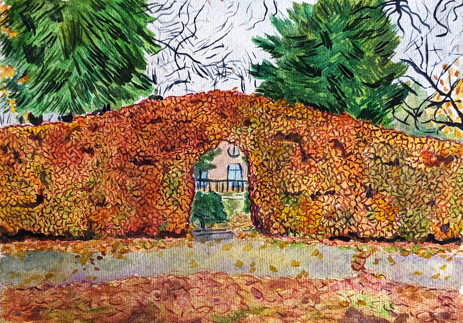 A tall orange hedge with an arched gateway in it. Through it, a sandstone wall and small green bushes are visible. There are green pine trees flanking the hedge. The floor is covered in leaves.