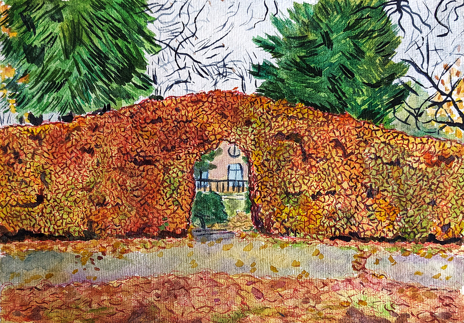 A tall orange hedge with an arched gateway in it. Through it, a sandstone wall and small green bushes are visible. There are green pine trees flanking the hedge. The floor is covered in leaves.