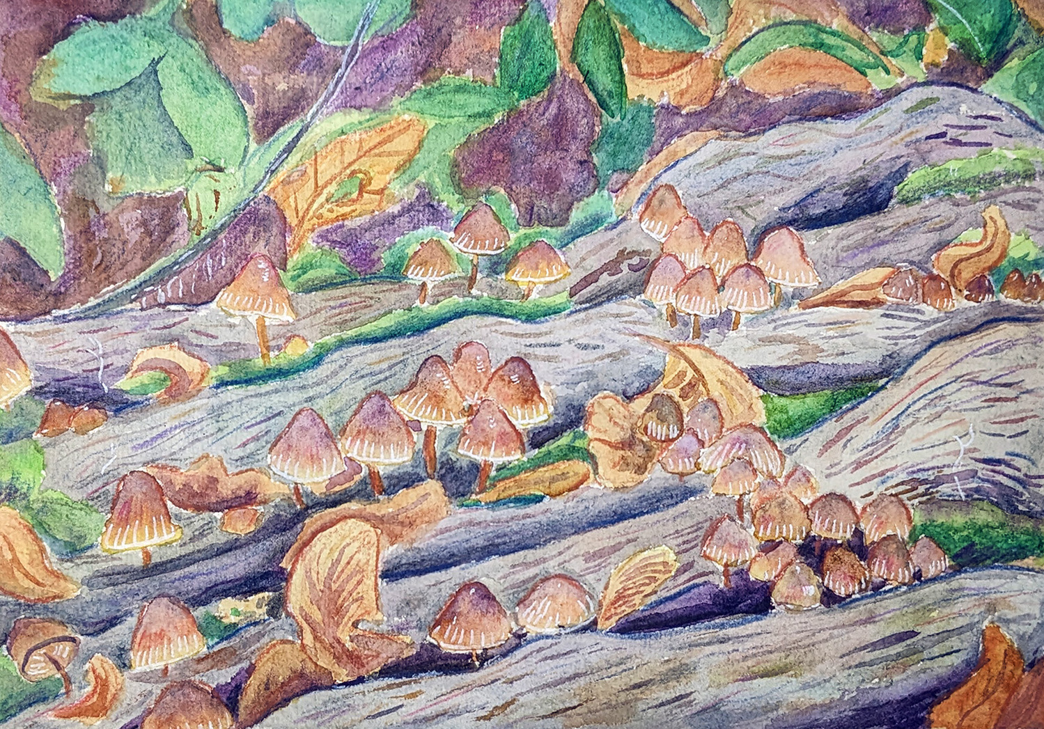 A painting of inkcap mushrooms growing on a log with some leaves. Most of the leaves are orange and dead but there are some that are green. 