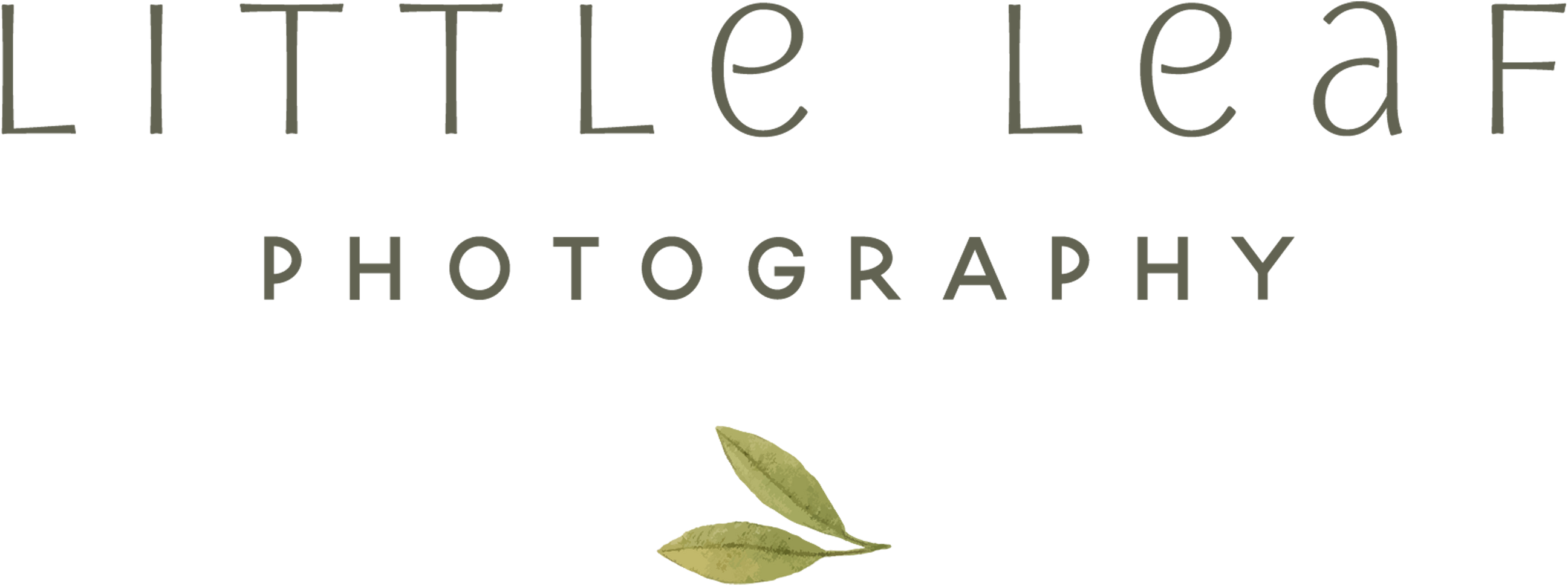 Little Leaf Photography