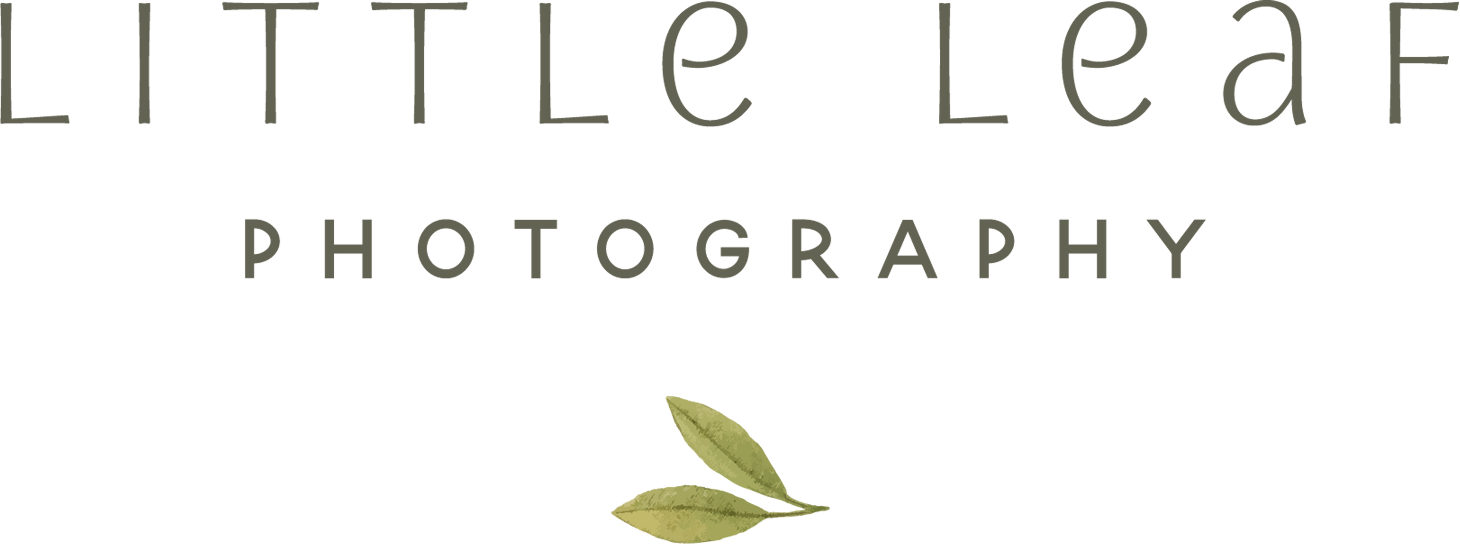Little Leaf Photography