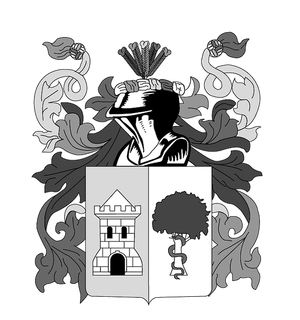 Guillermo Castillo's Portfolio