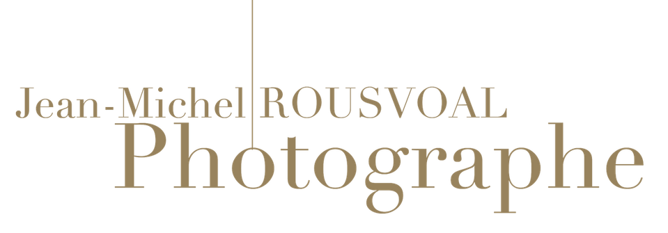 Jean Michel Rousvoal artwork