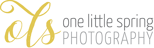 One Little Spring Photography | Angelika & Jeremy Staples, Berryville, VA