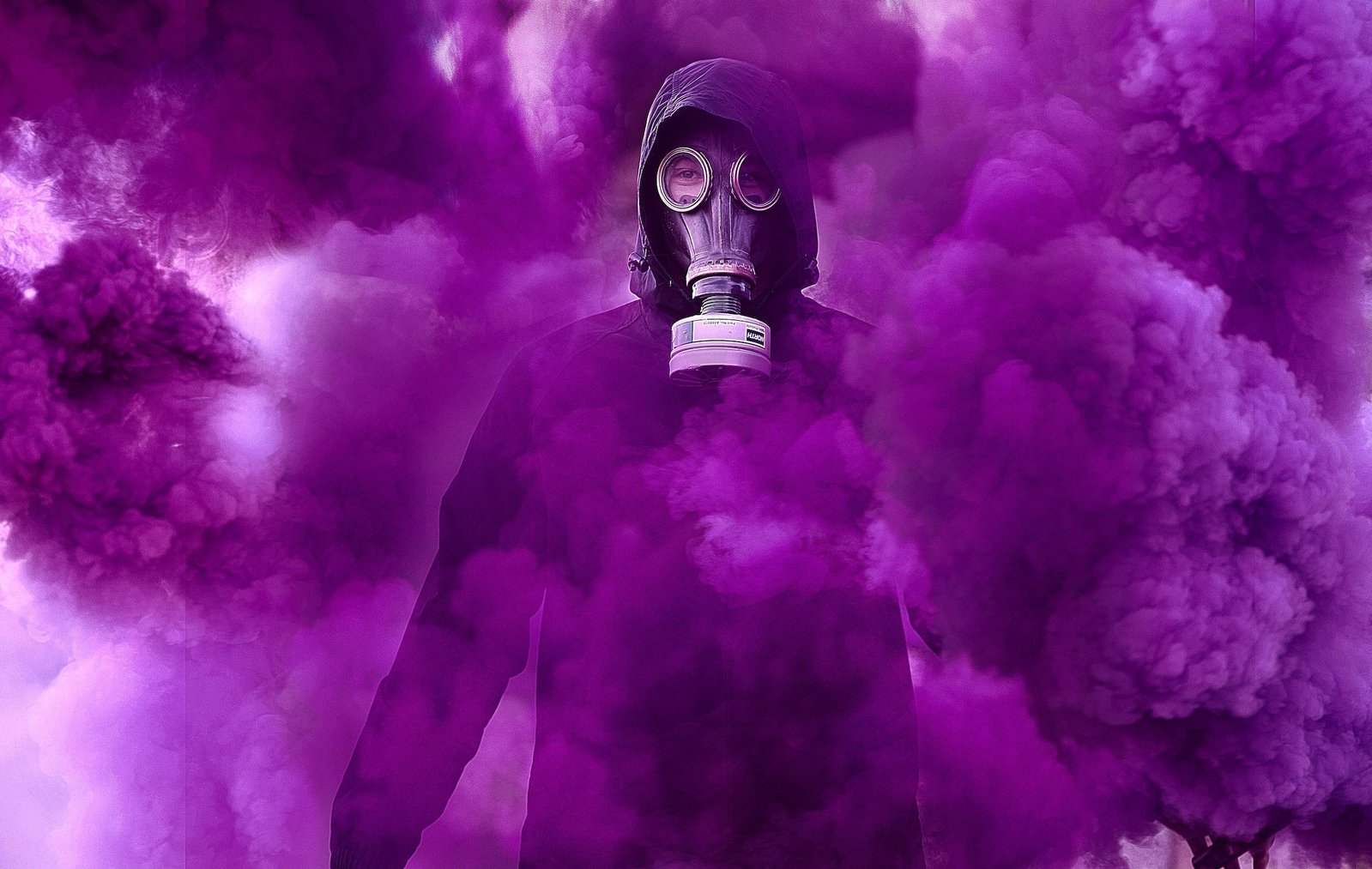 Purple Raindrop will bring your plans to fruition