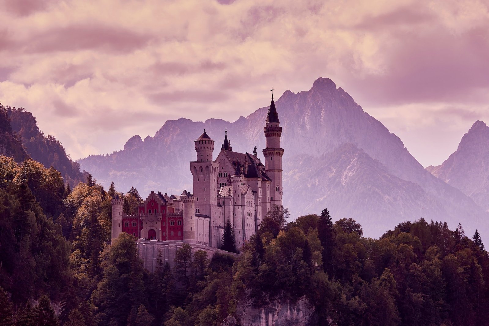 Purple Raindrop will make your fairy tale wishes come true