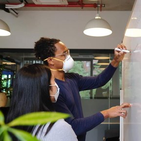 Purple Raindrop consulting team training project management office team members on agile PM methodology