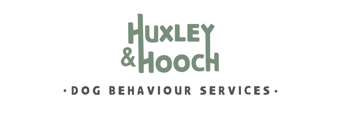 Dog-Trainer-Behaviourist-London-03