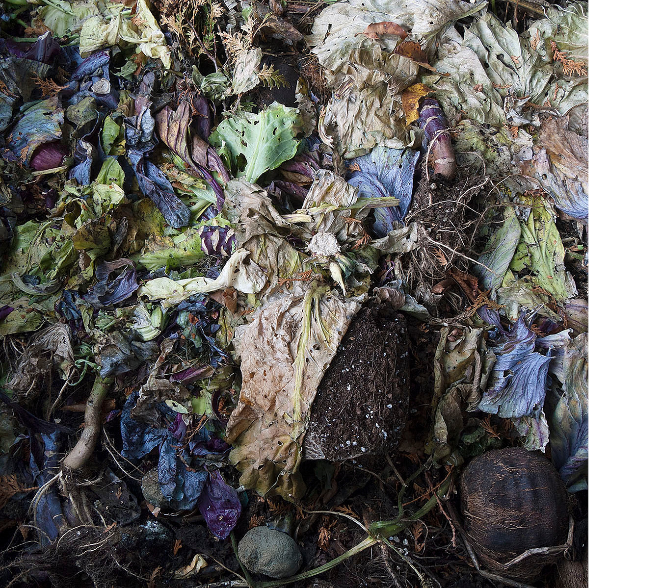 Decomposing, colourful garden vegetation