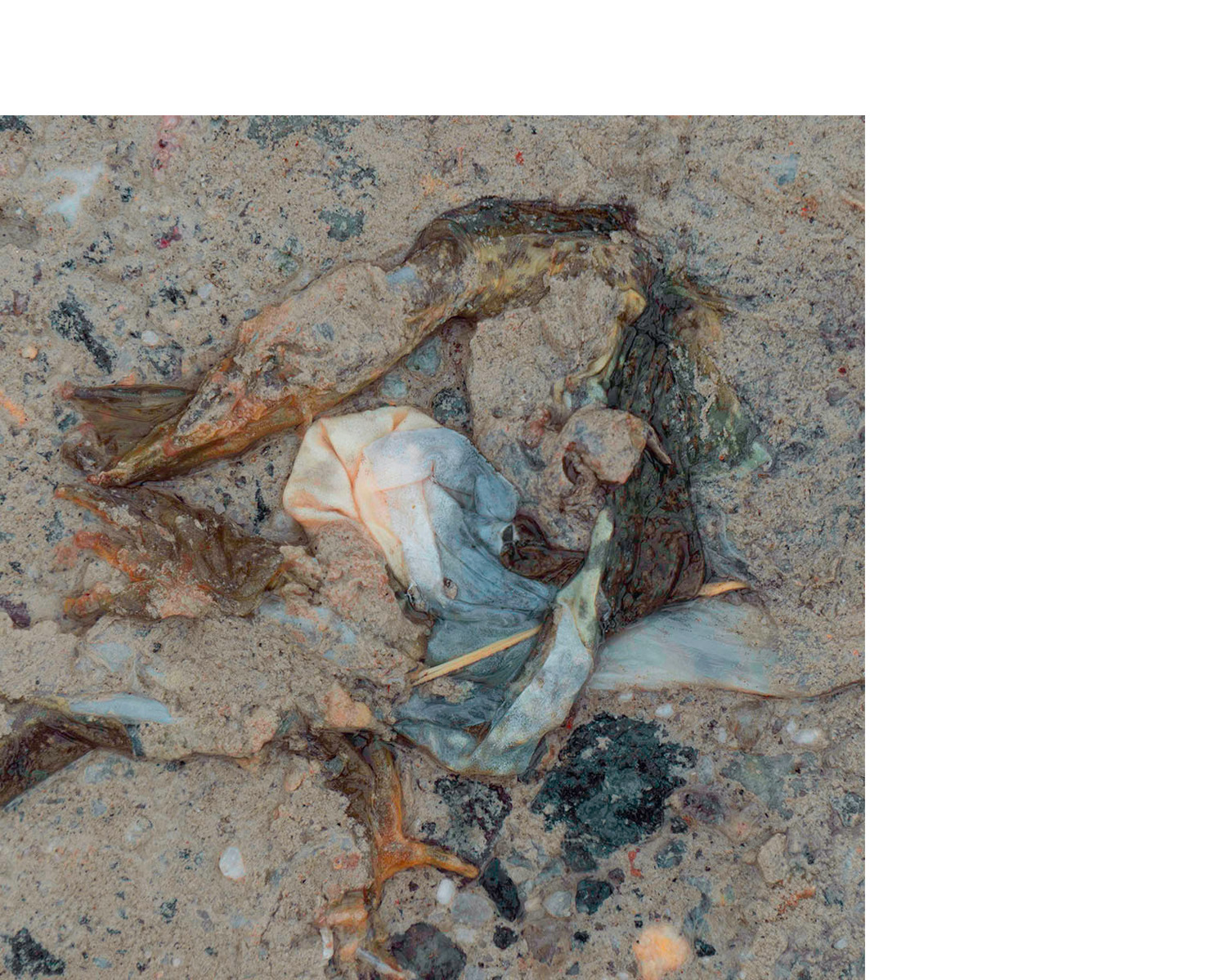 Squashed frog guts on a road.