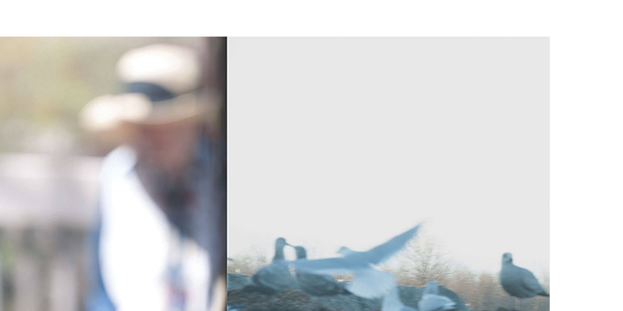 dream-like diptych of woman and pigeons