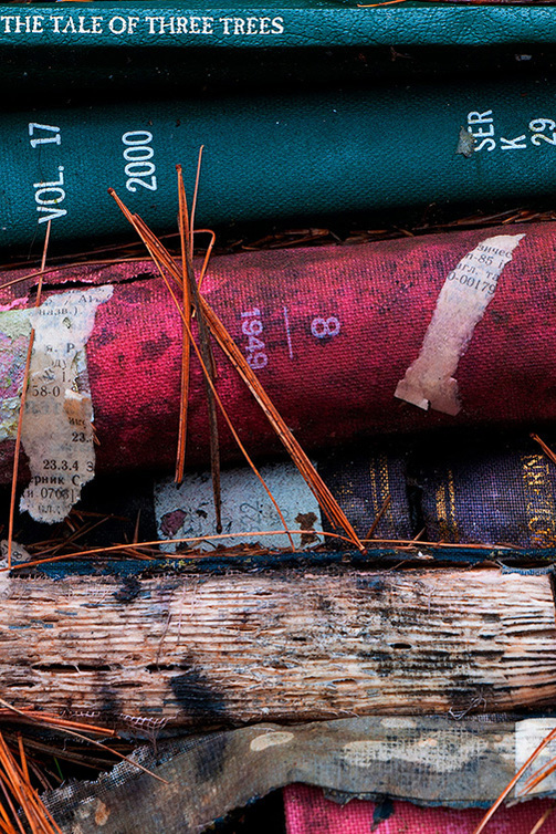 Multicoloured books in various stages of decomposition