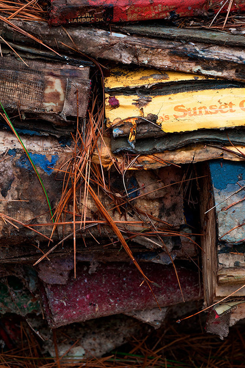 Multicoloured books in various stages of decomposition