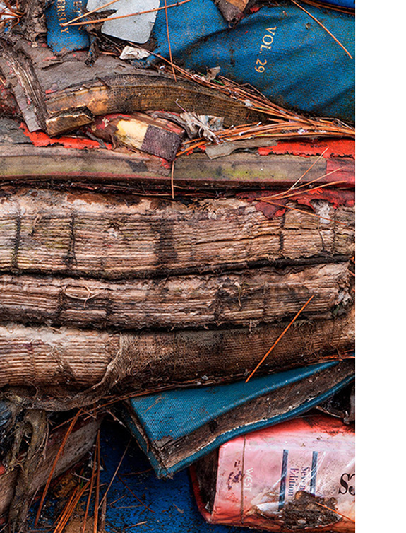 Multicoloured books in various stages of decomposition