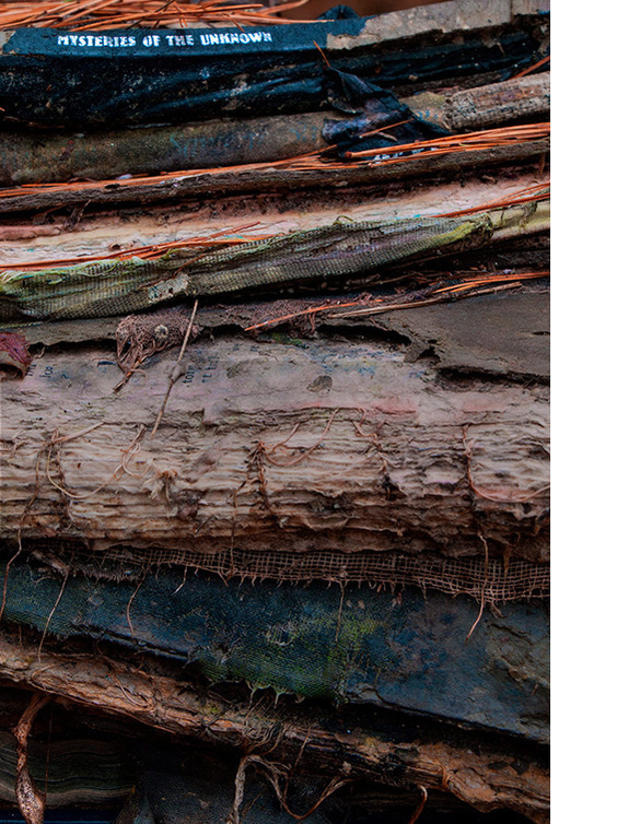 Multicoloured books in various stages of decomposition