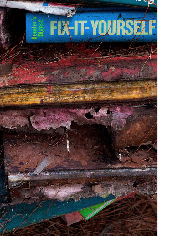 Multicoloured books in various stages of decomposition